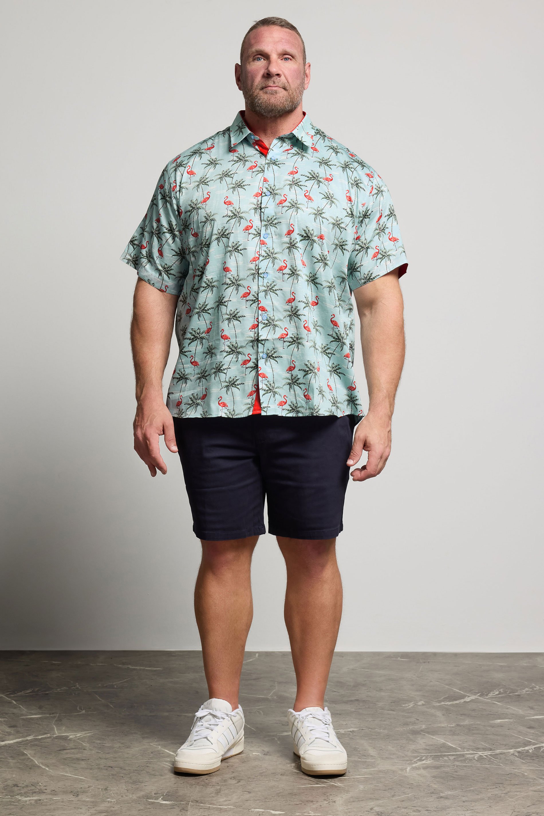 KAM Big & Tall Light Blue Bird Print Shirt | BadRhino 2