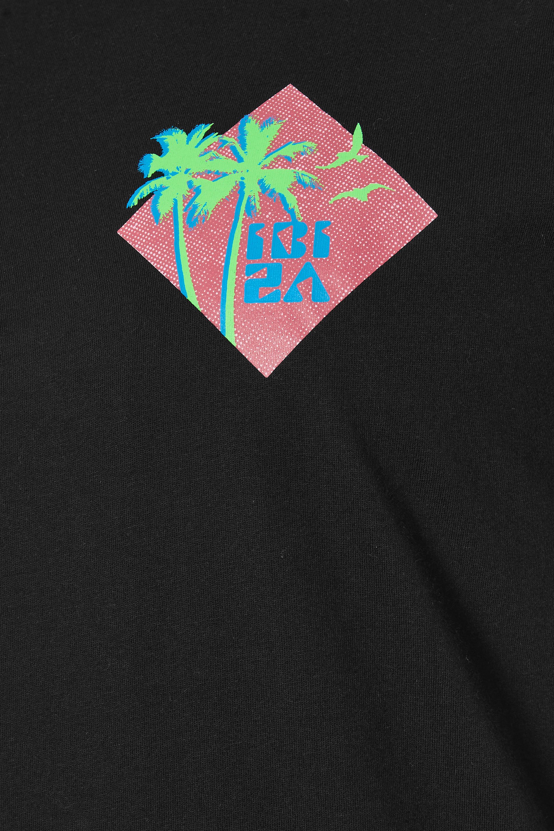 BadRhino Big & Tall Black 'Ibiza' Graphic Print T-Shirt | BadRhino 8