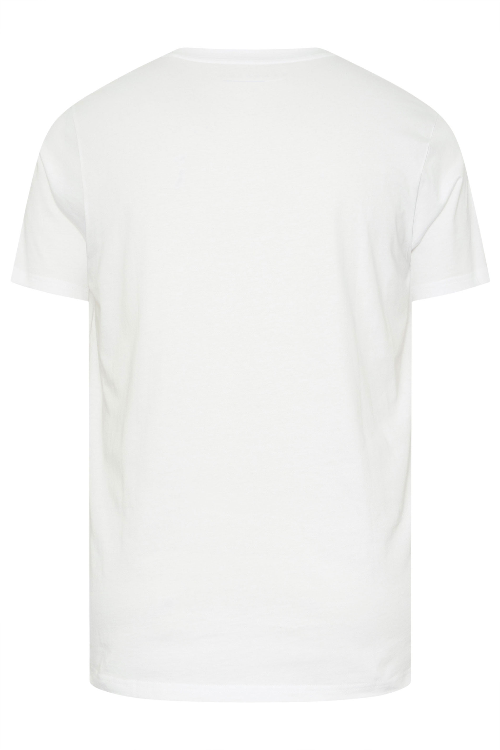 BadRhino Big & Tall White Extra Long V-Neck T-Shirt | BadRhino 7