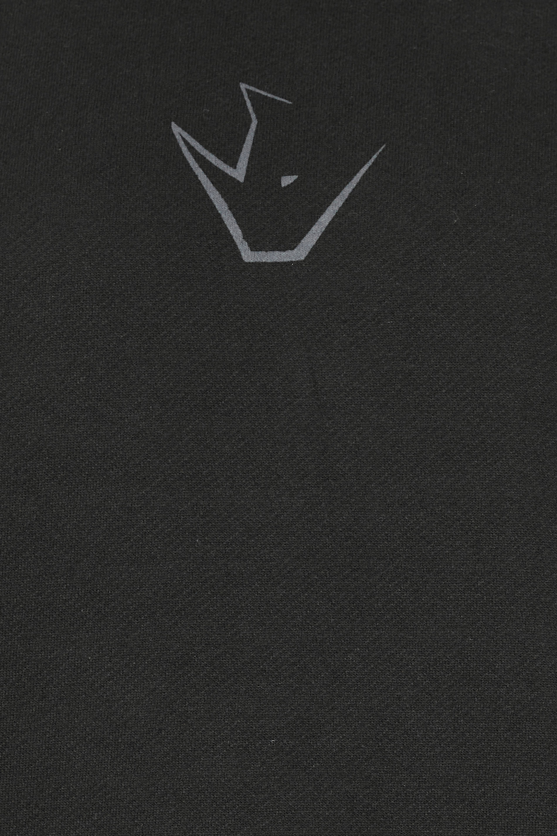 IronRhino Big & Tall Black 'Training Dept' Hoodie | BadRhino 7