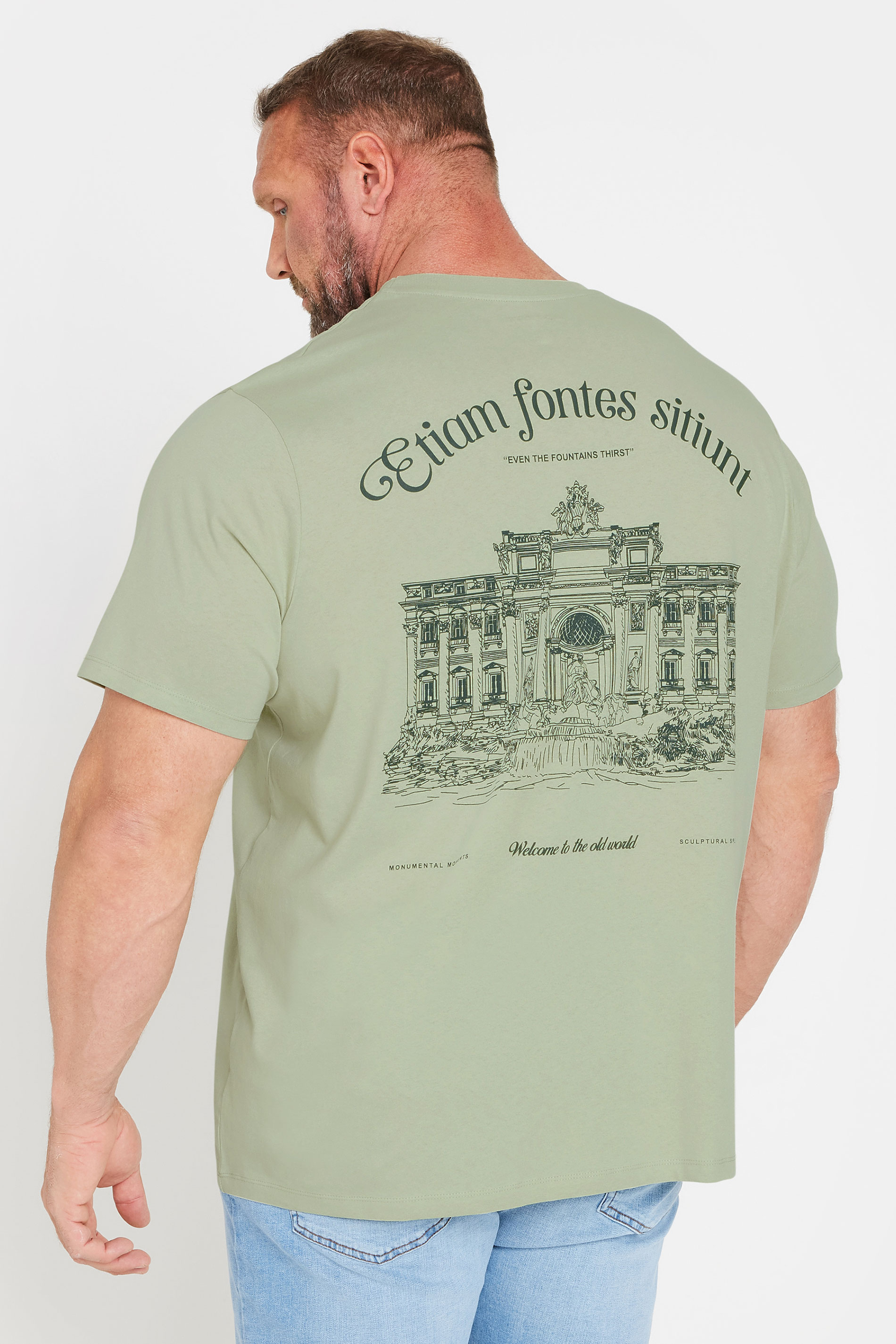 JACK & JONES Big & Tall Sage Green Fountain Crew Neck T-Shirt | BadRhino 2