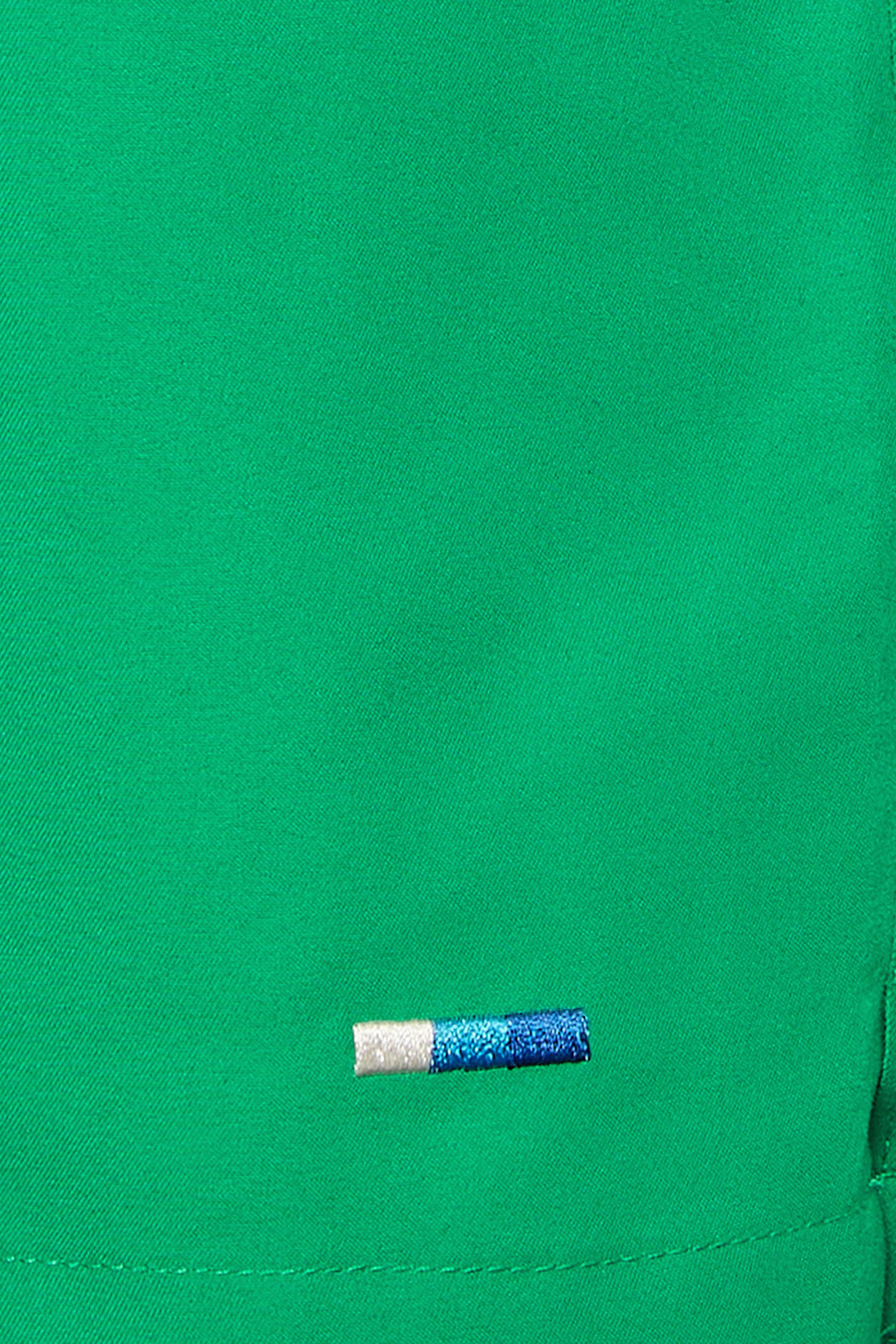 BadRhino Big & Tall Plain Green Swim Shorts | BadRhino 6