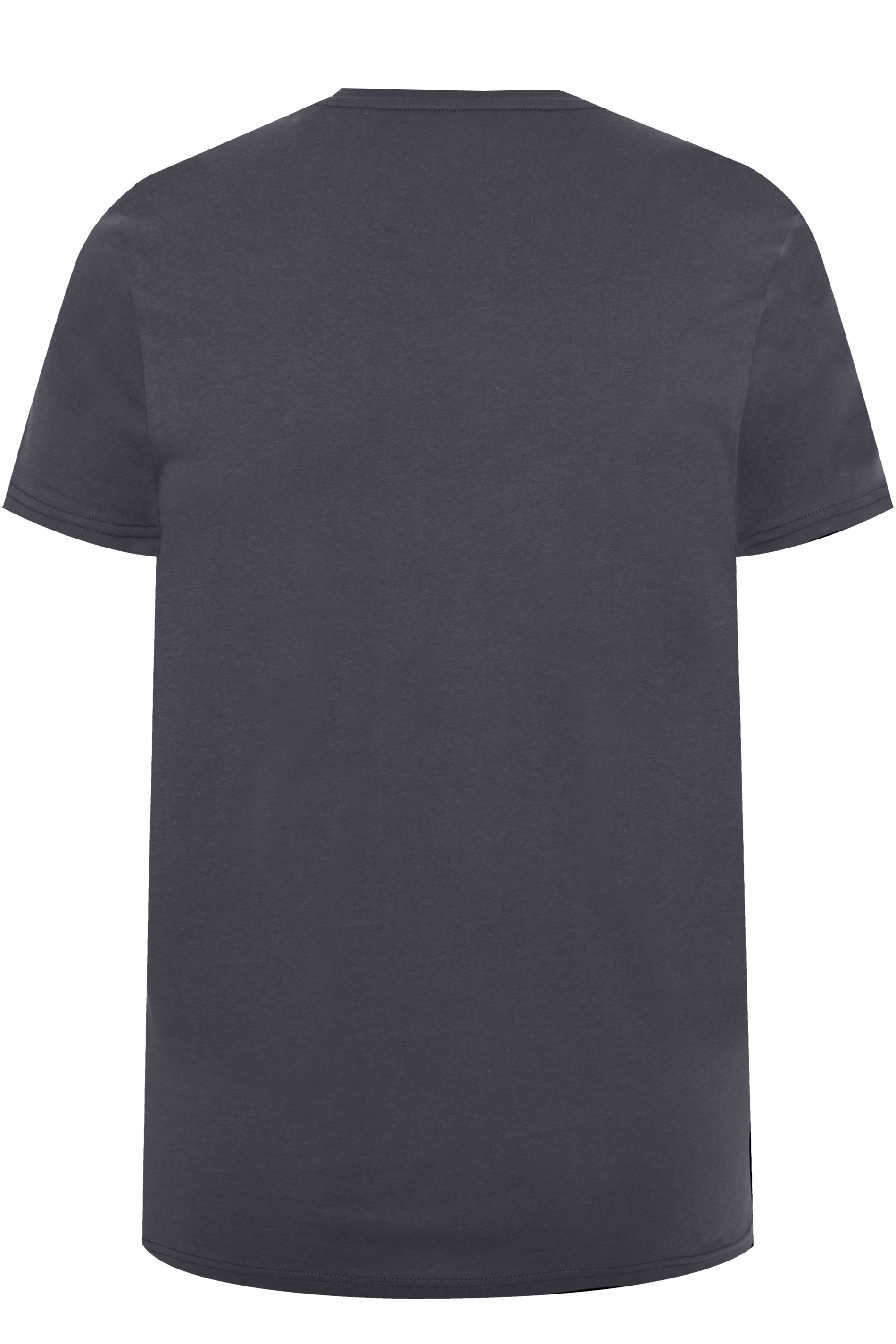 ALPHA INDUSTRIES Big & Tall Navy Blue Core T-Shirt | BadRhino 3
