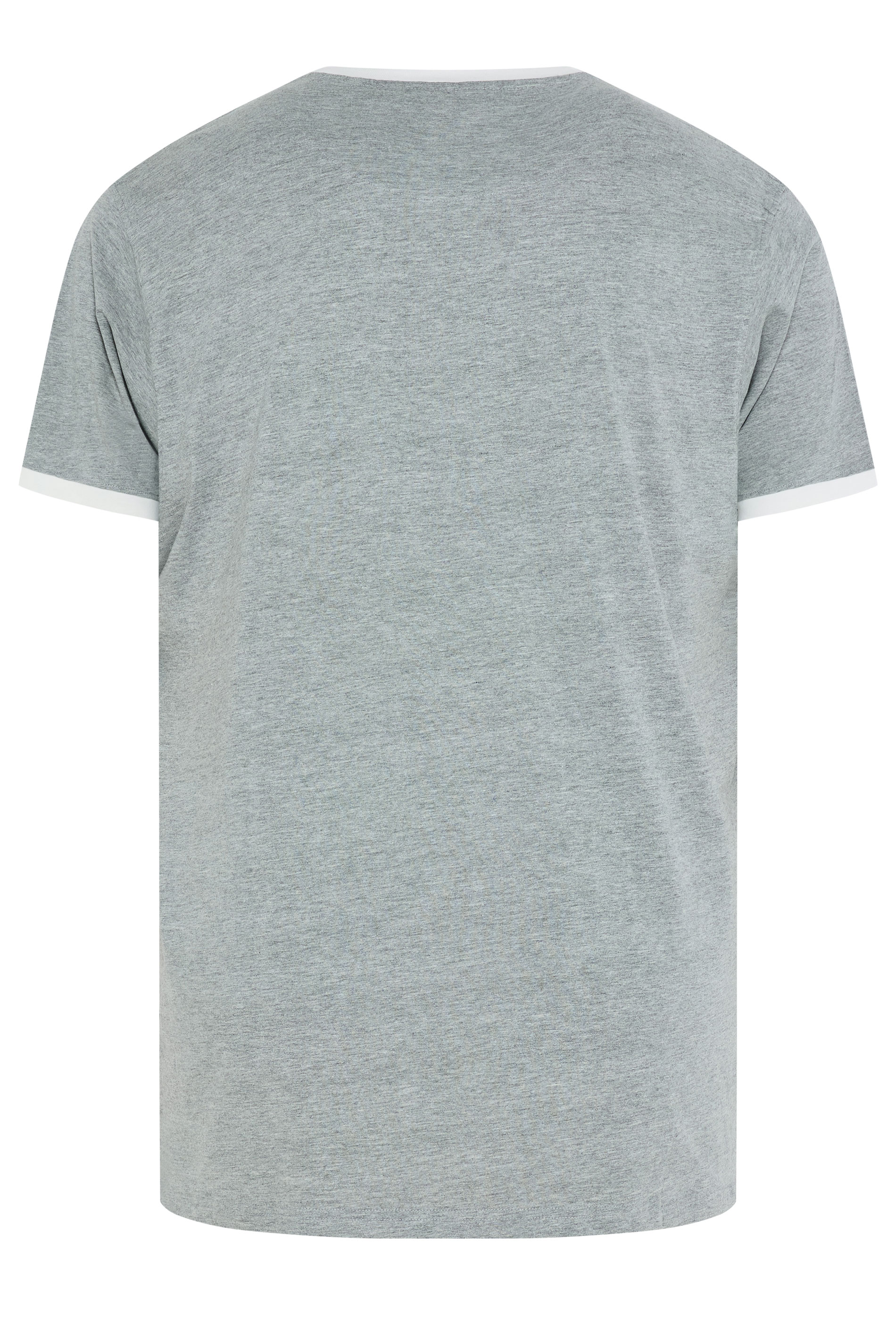 KAM Big & Tall Grey 'Santa Cruz' T-Shirt | BadRhino 2
