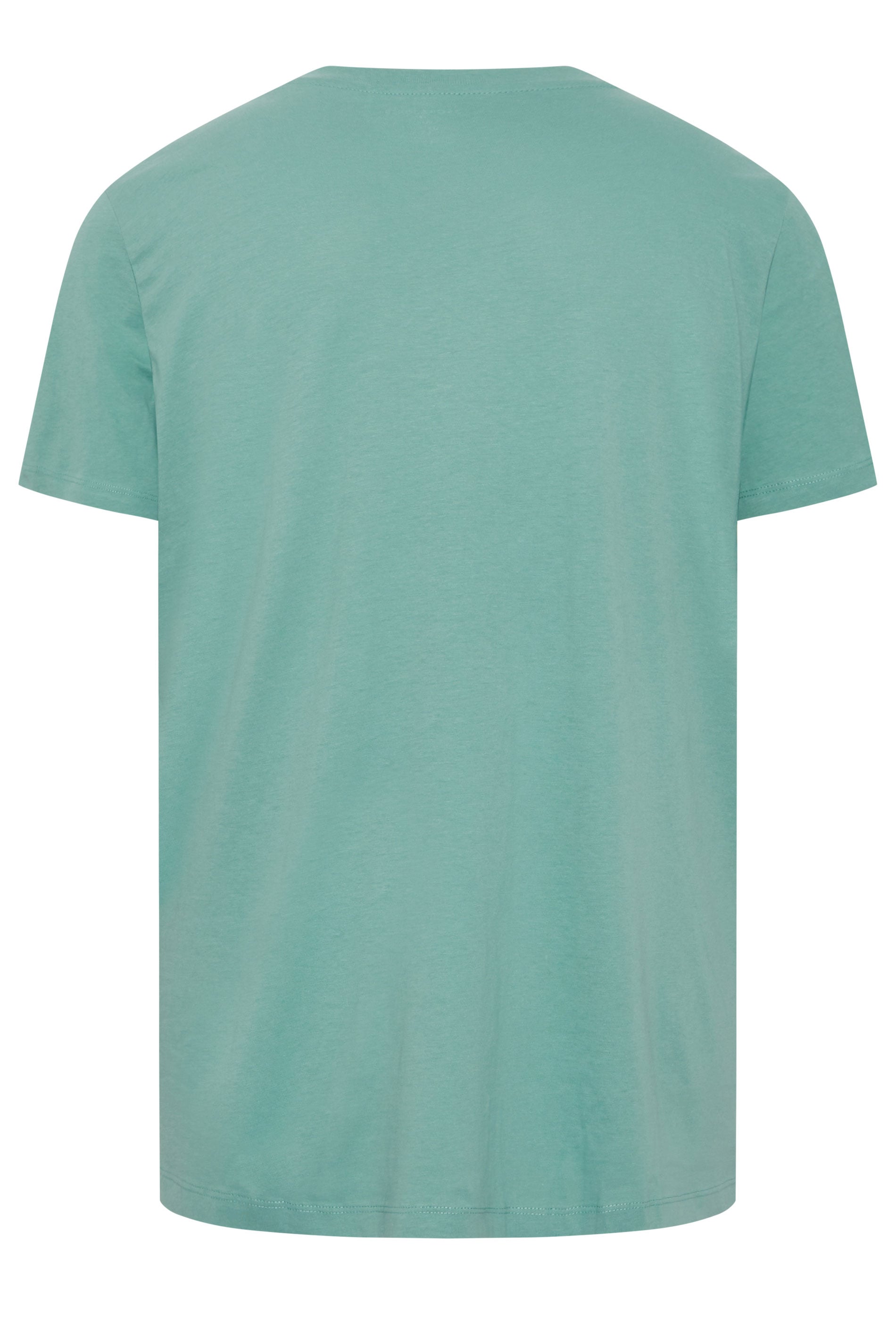 JACK & JONES Big & Tall Blue Tropical Skeleton Print Tee | BadRhino 4