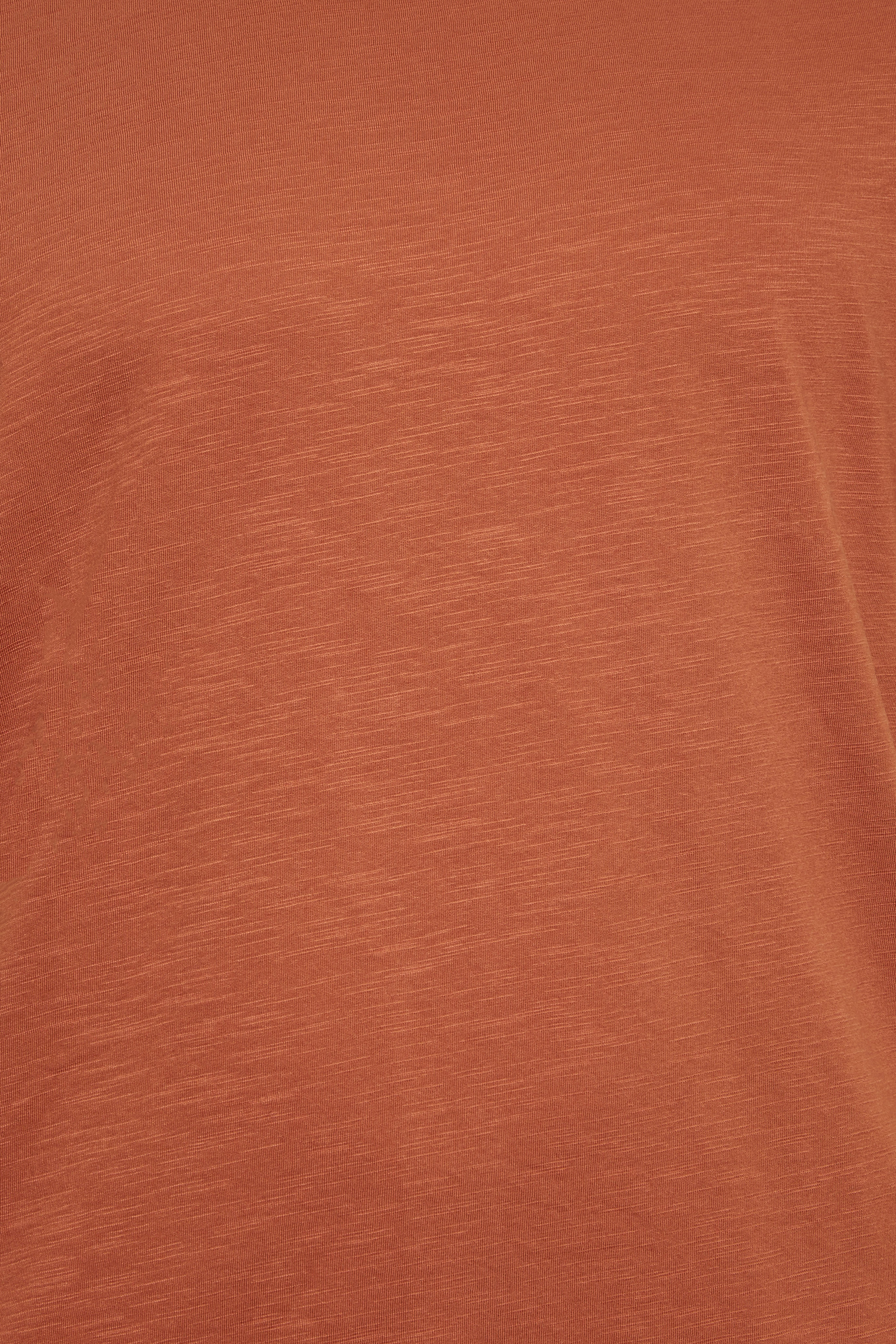 BadRhino Big & Tall Pecan Brown Slub T-Shirt | BadRhino 5