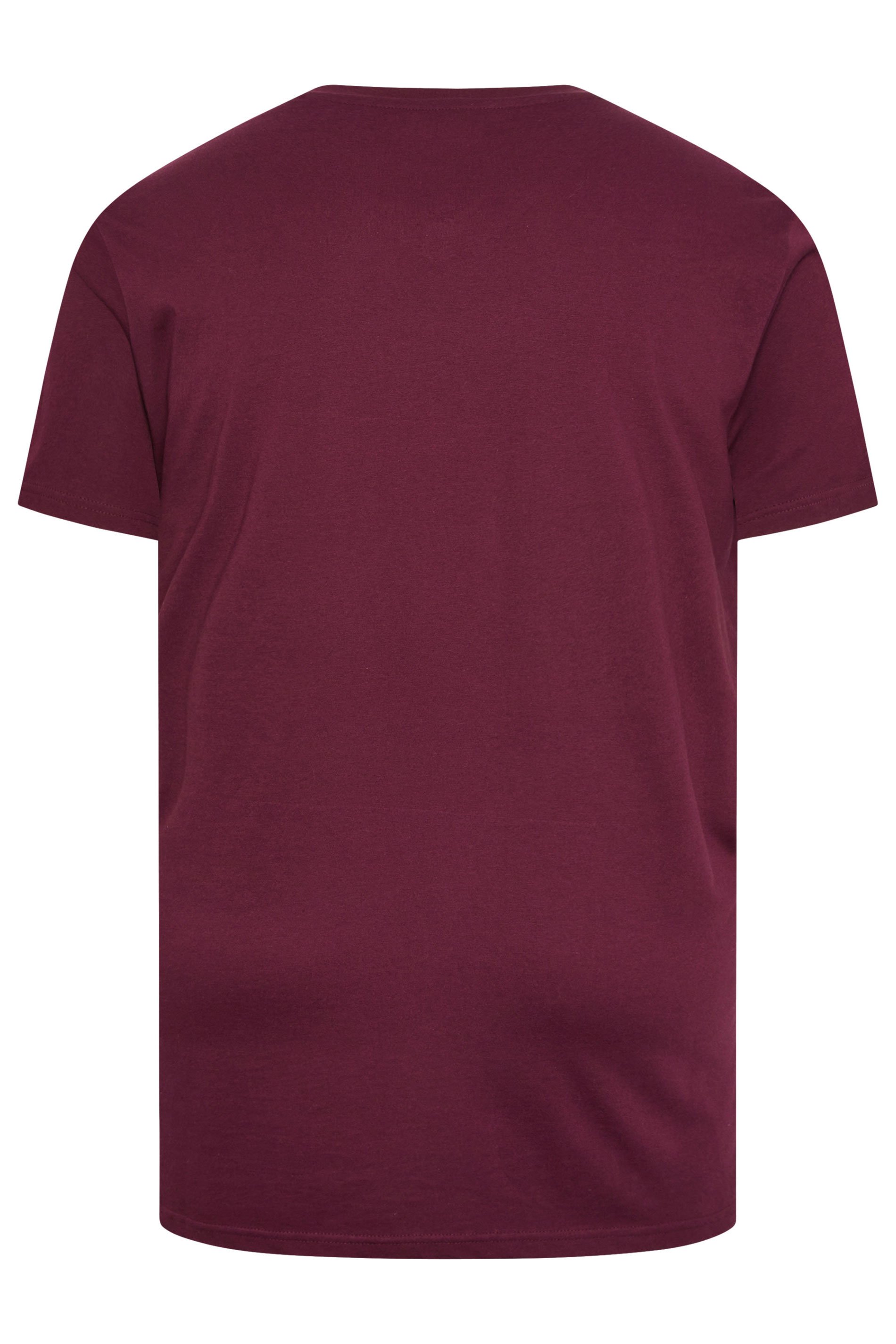 BadRhino Big & Tall Black/Red/Green/Blue/Navy Blue 5 Pack V-Neck T-Shirts | BadRhino 3