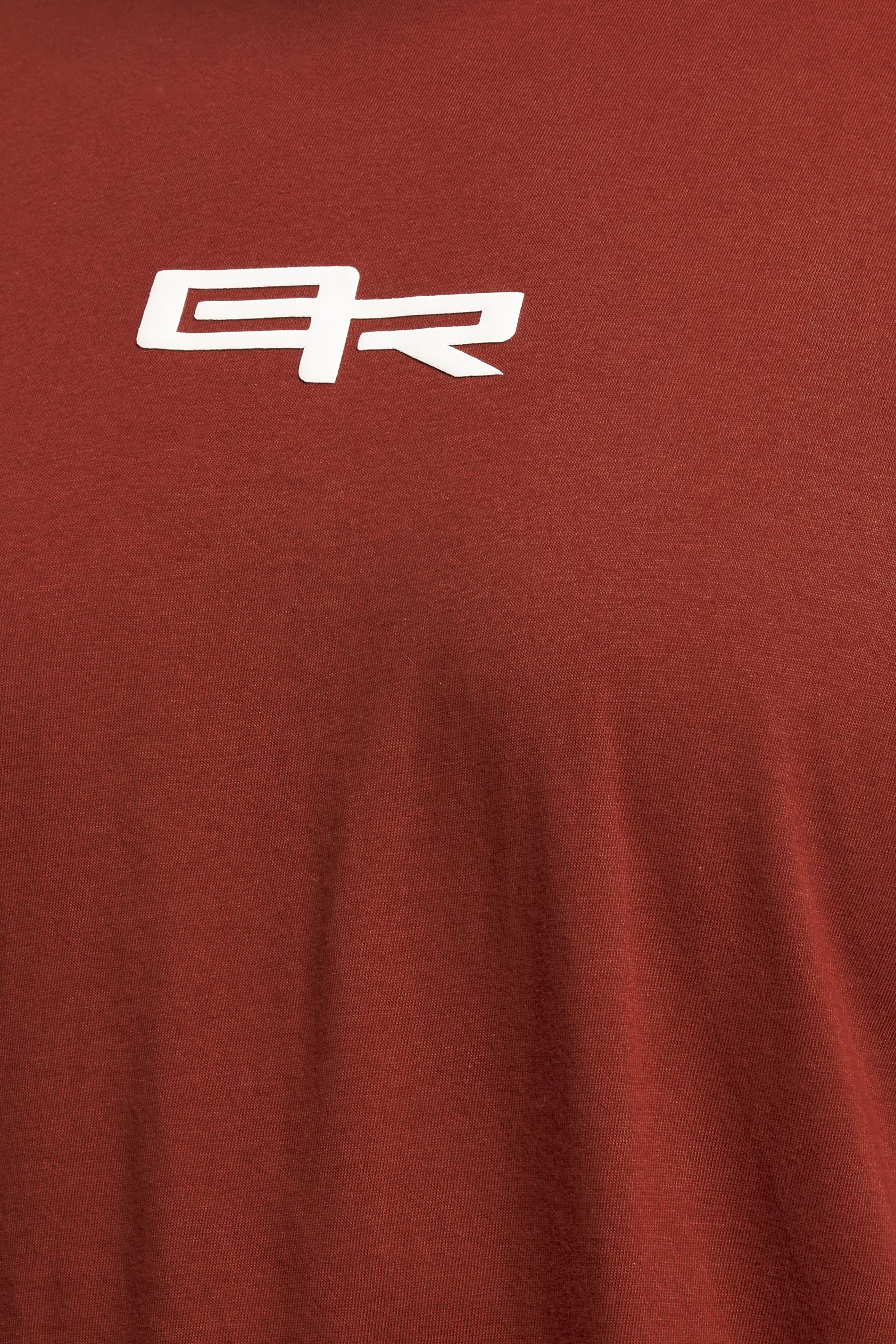 BadRhino Big & Tall Burnt Red Logo Cut & Sew T-Shirt | BadRhino 5