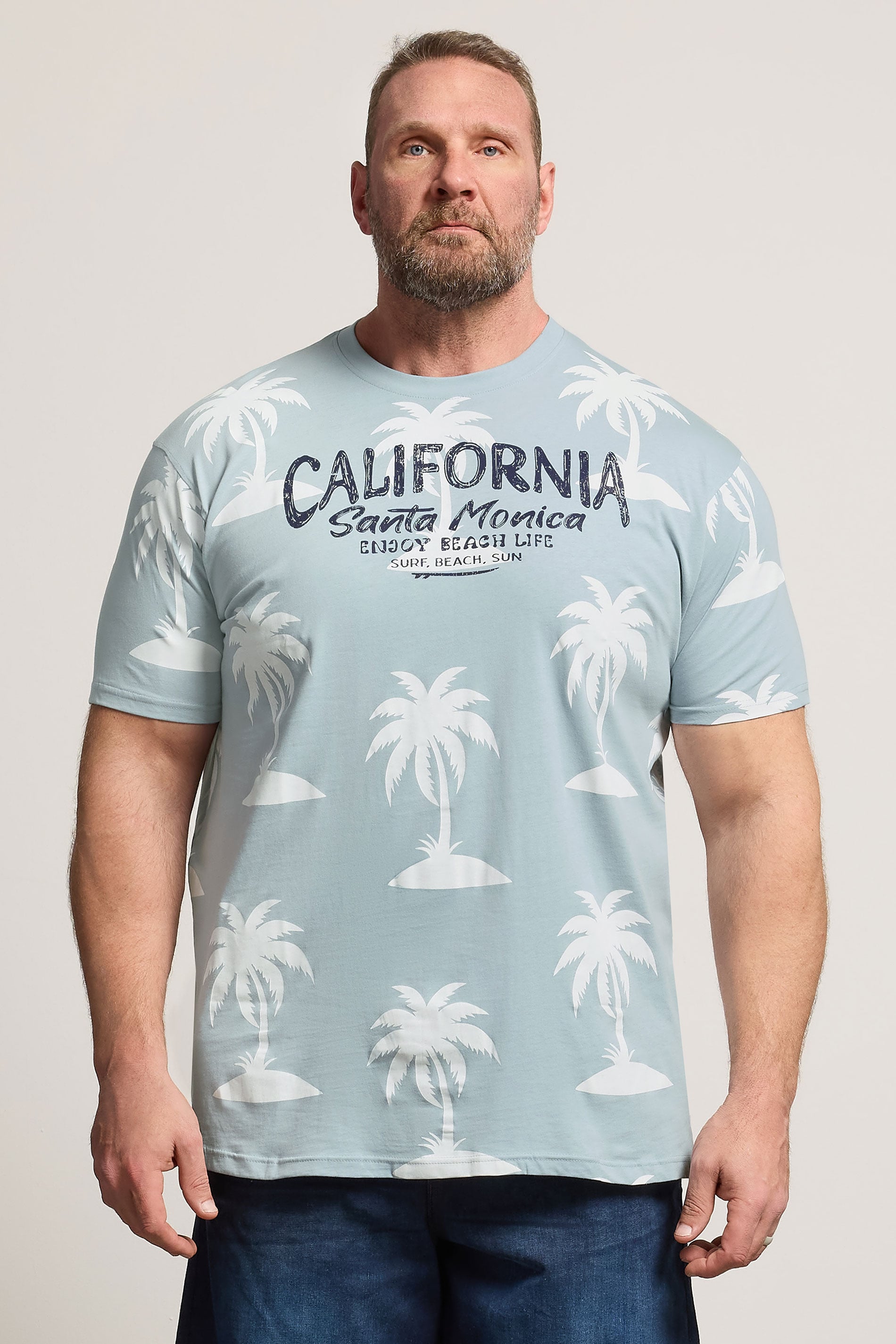KAM Big & Tall Light Blue Palm Print T-Shirt | BadRhino 3