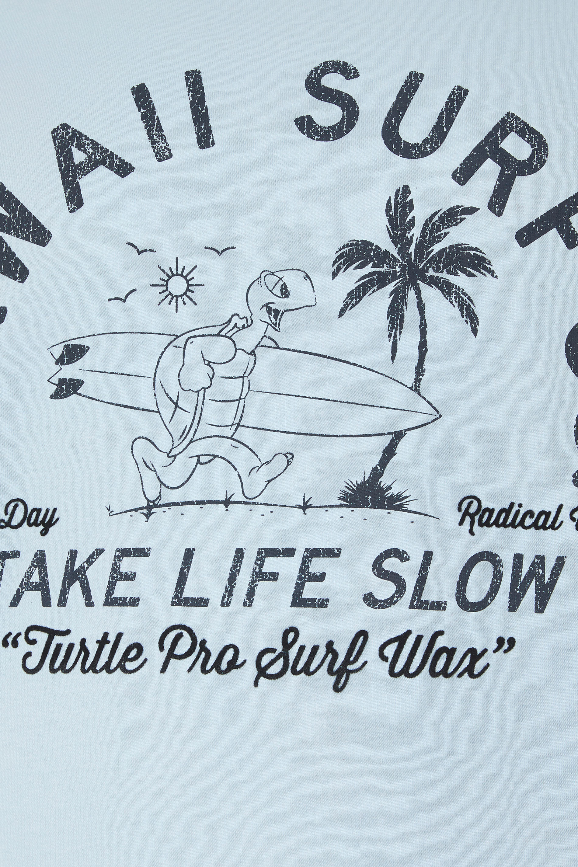 KAM Big & Tall Blue 'Hawaii Surf' Raglan T-Shirt | BadRhino 1
