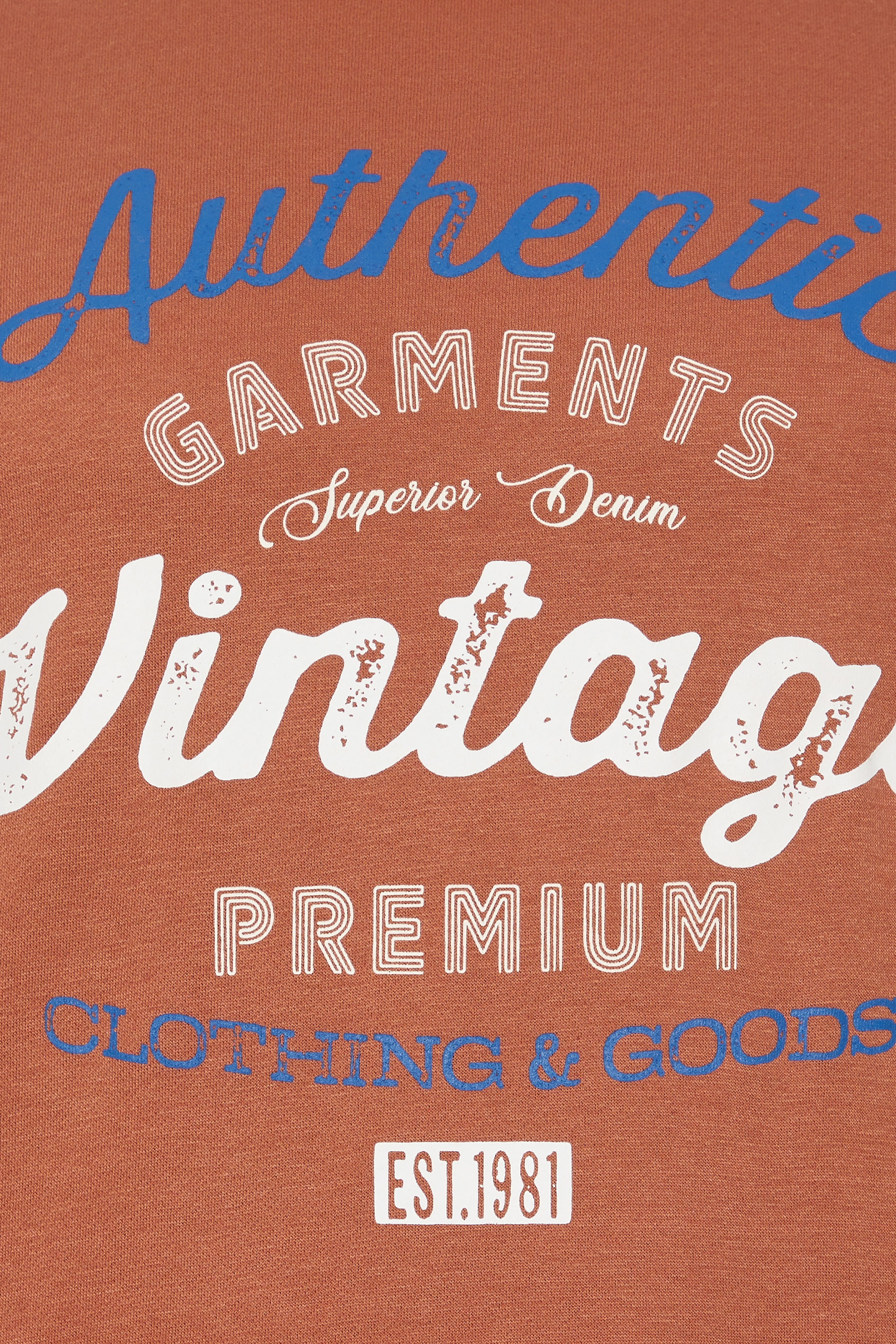 BadRhino Big & Tall Rust Orange 'Authentic Vintage' Graphic Sweatshirt | BadRhino 3