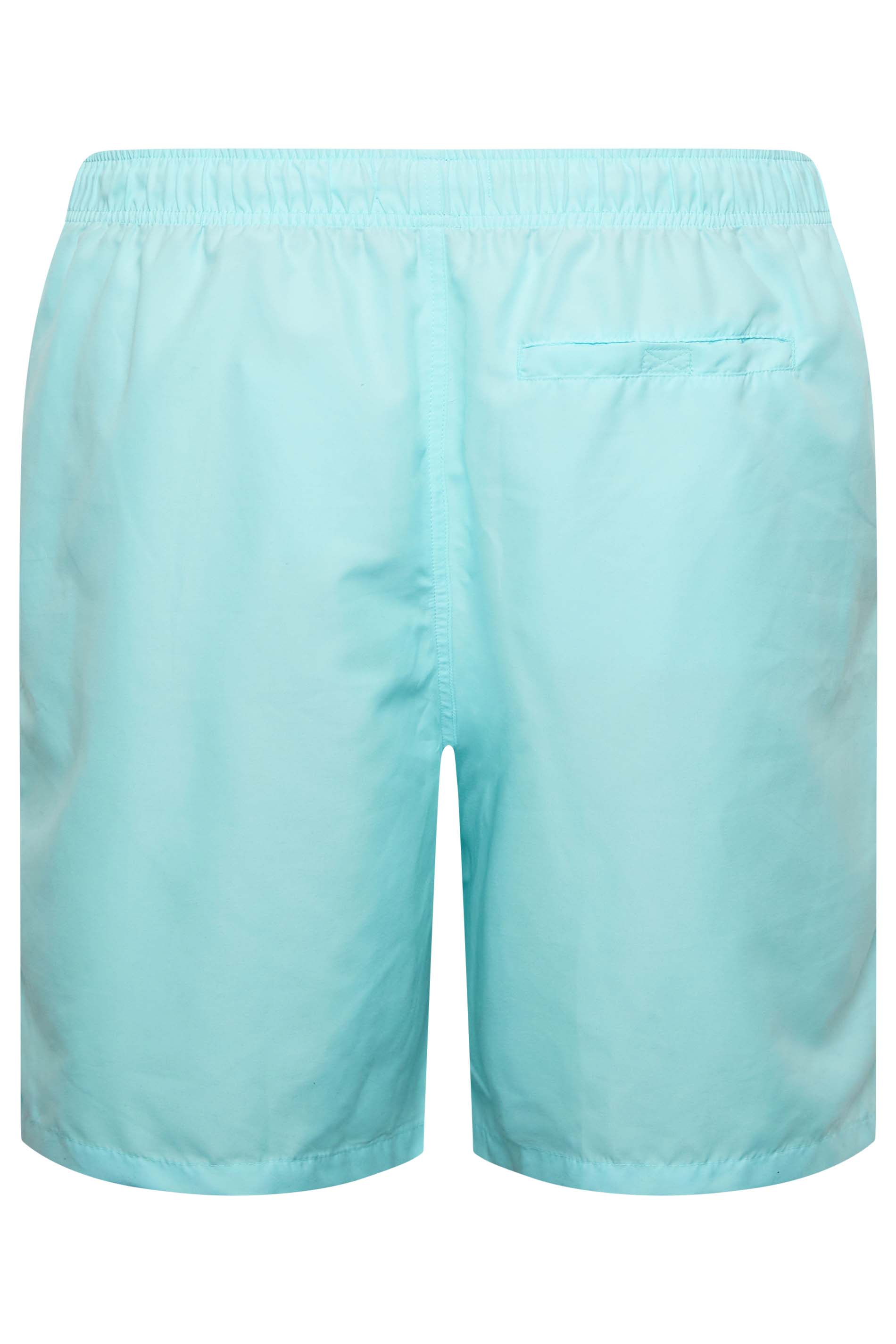 U.S. POLO ASSN. Big & Tall Light Blue Swim Shorts | BadRhino 6
