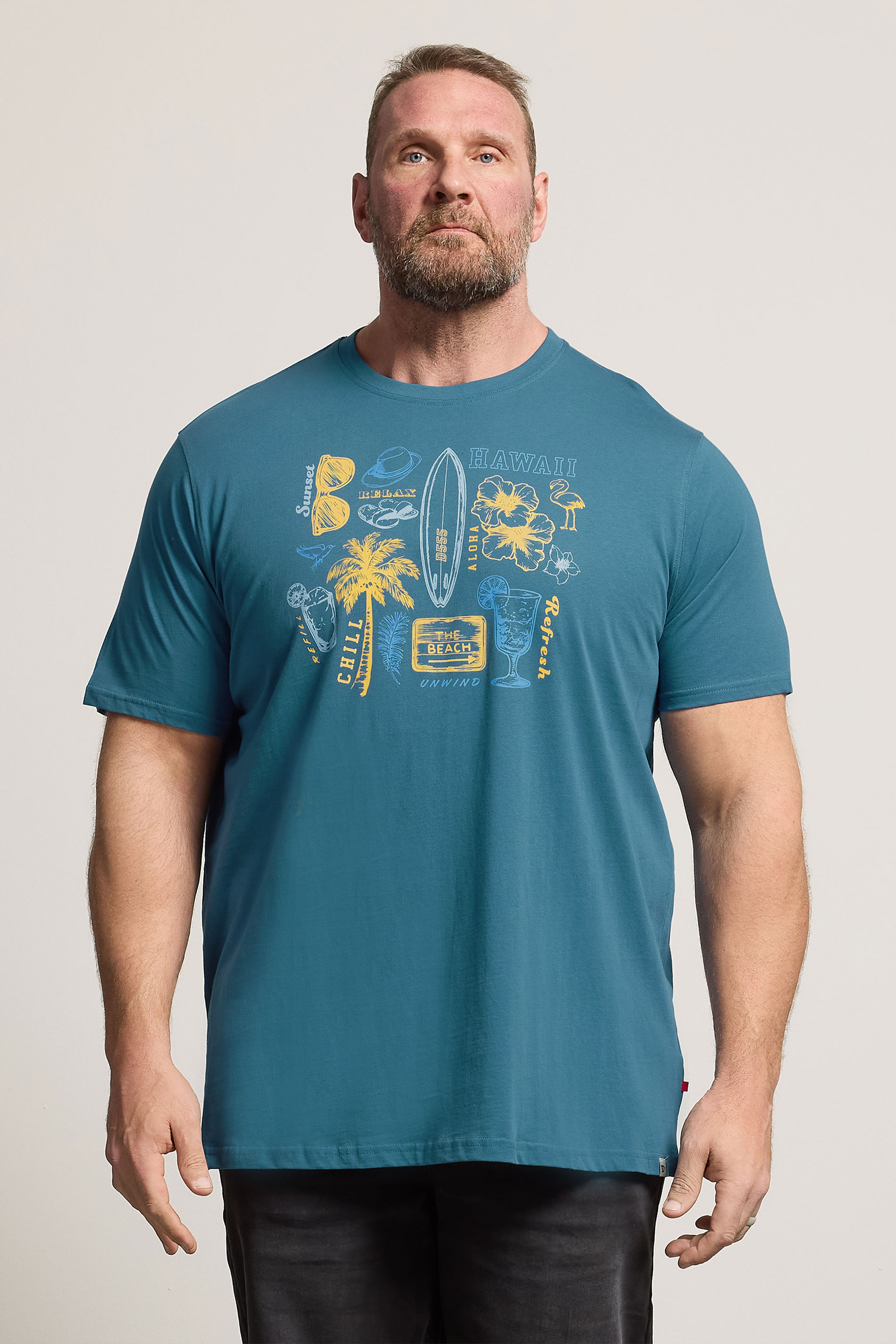 D555 Big & Tall Teal Blue Summer Beach Print T-Shirt | BadRhino 3