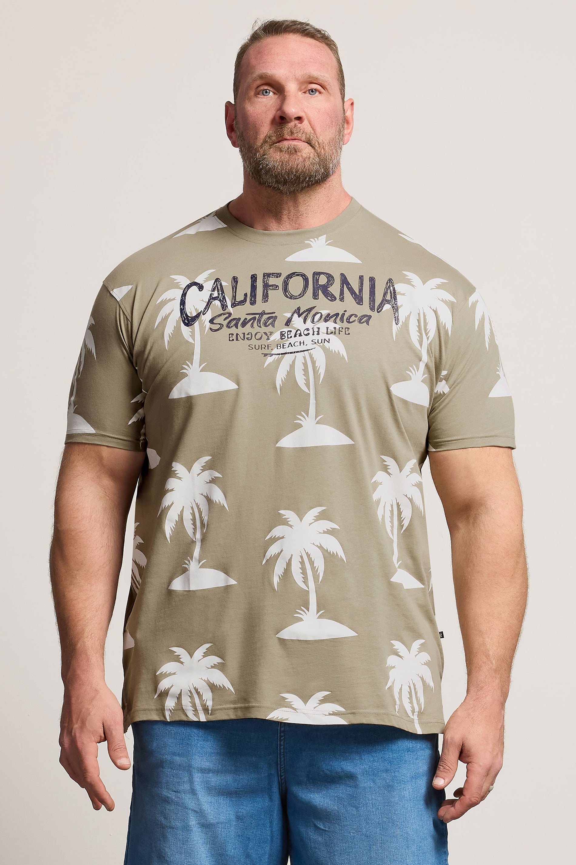 KAM Big & Tall Stone Brown Palm Print T-Shirt | BadRhino 3