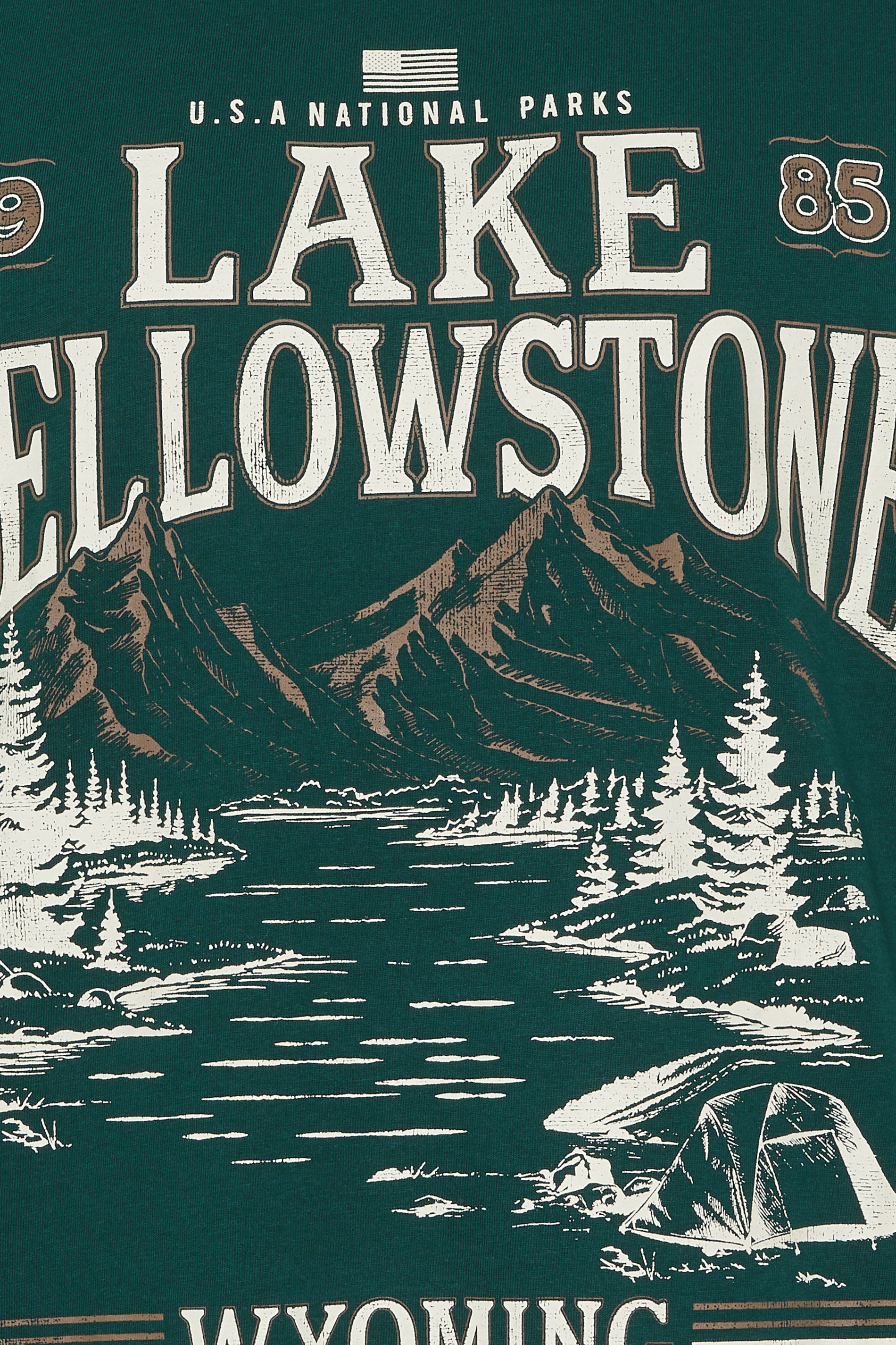 KAM Big & Tall Green Lake Yellowstone Graphic T-Shirt | BadRhino 5