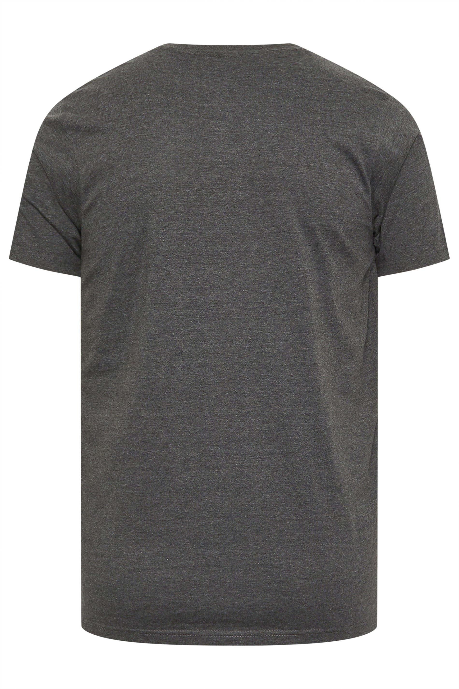 BadRhino Big & Tall Charcoal Grey 'Lynyrd Skynyrd' Graphic T-Shirt | BadRhino 7