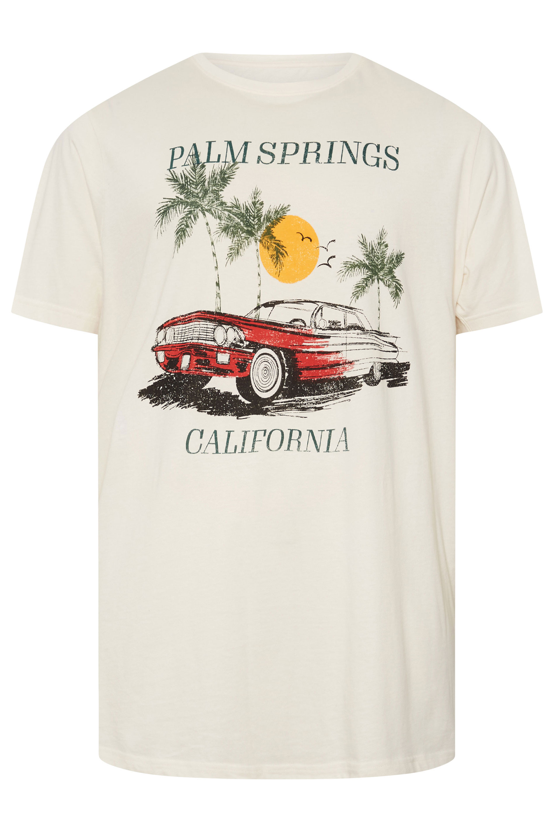 BadRhino Big & Tall White 'Palm Springs' Graphic T-Shirt | BadRhino 5