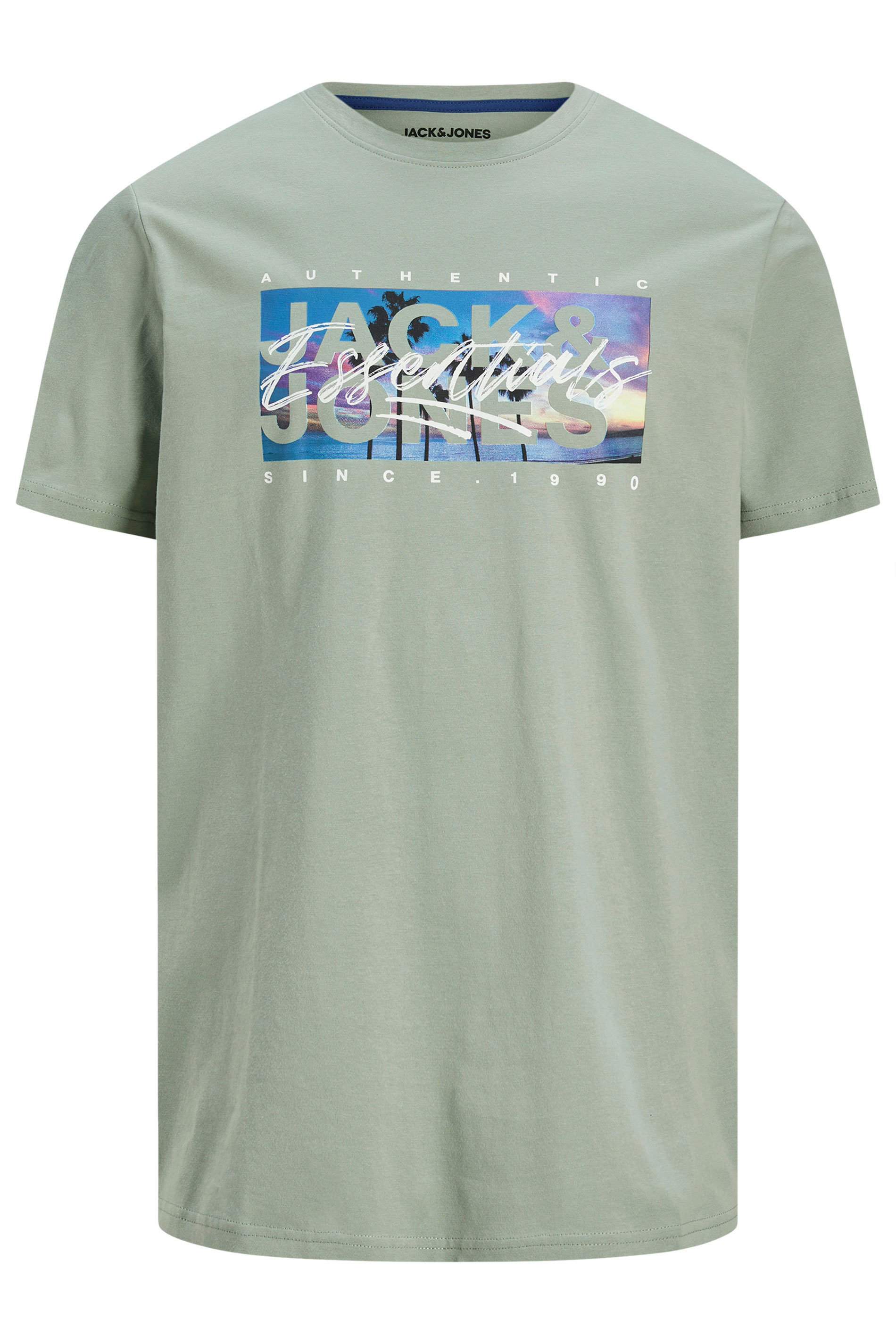 JACK & JONES Big & Tall Iceberg Green Photo-Print T-Shirt | BadRhino 3