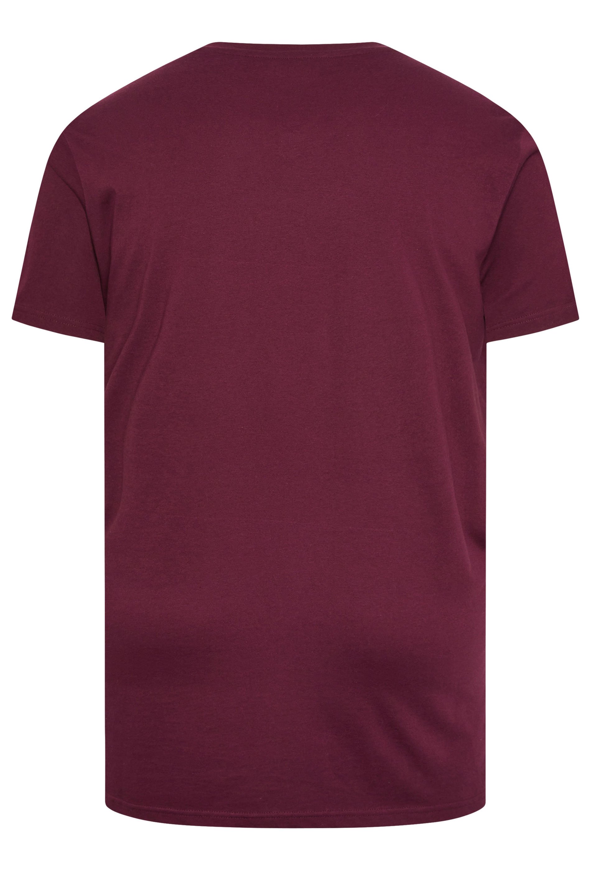 BadRhino Big & Tall Black/Red/Green/Blue/Navy Blue 5 Pack Extra Long V-Neck T-Shirts | BadRhino 3