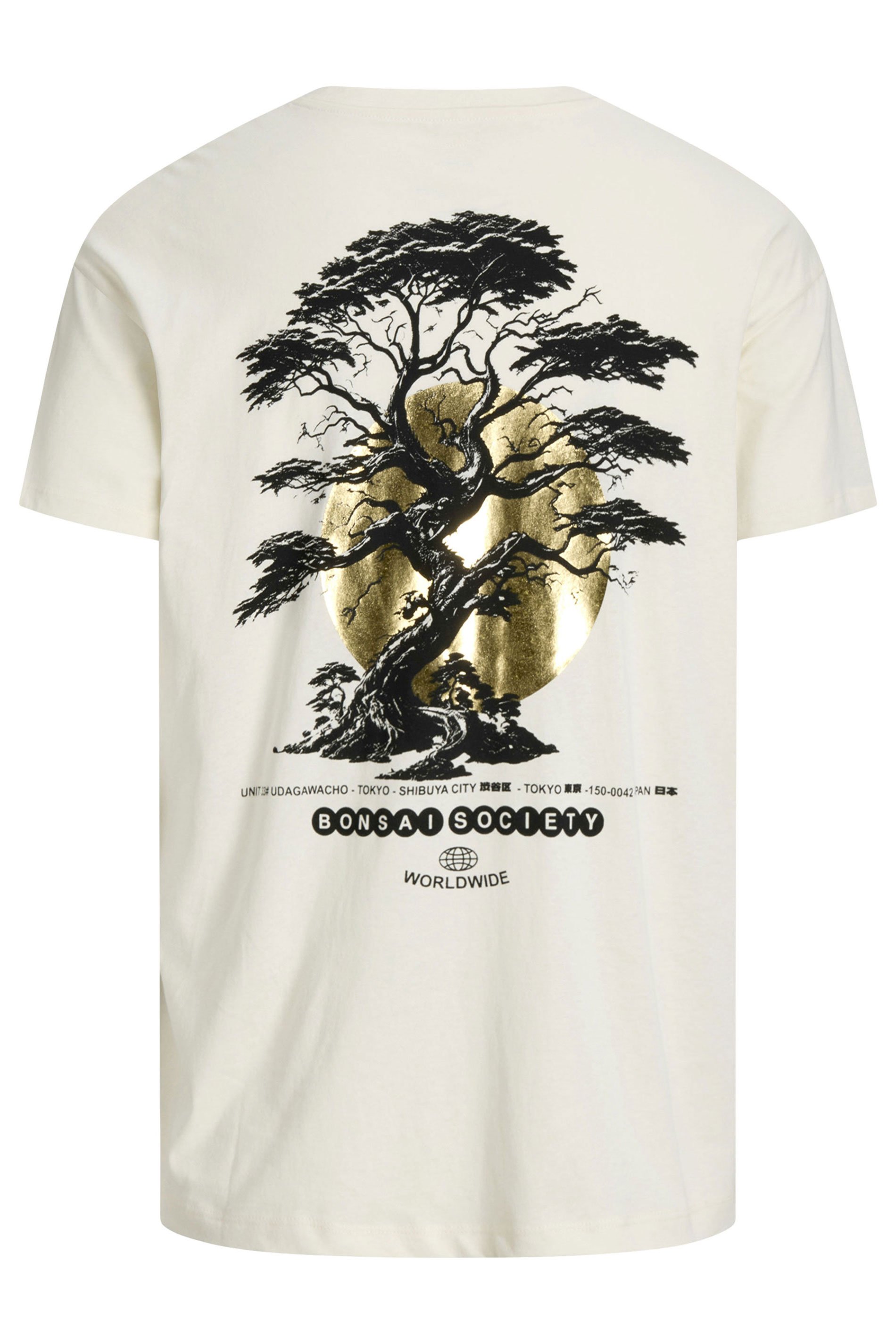 JACK & JONES Big & Tall Natural Brown Back Print T-Shirt | BadRhino 2