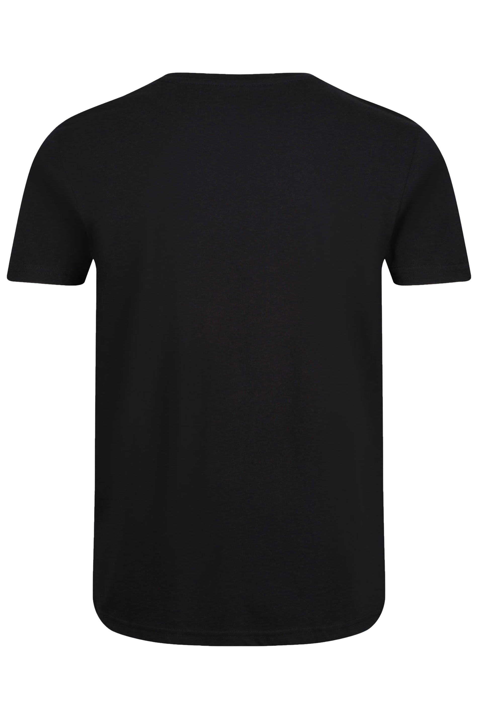 ALPHA INDUSTRIES 2 Logo PACK T-Shirts | BadRhino Black