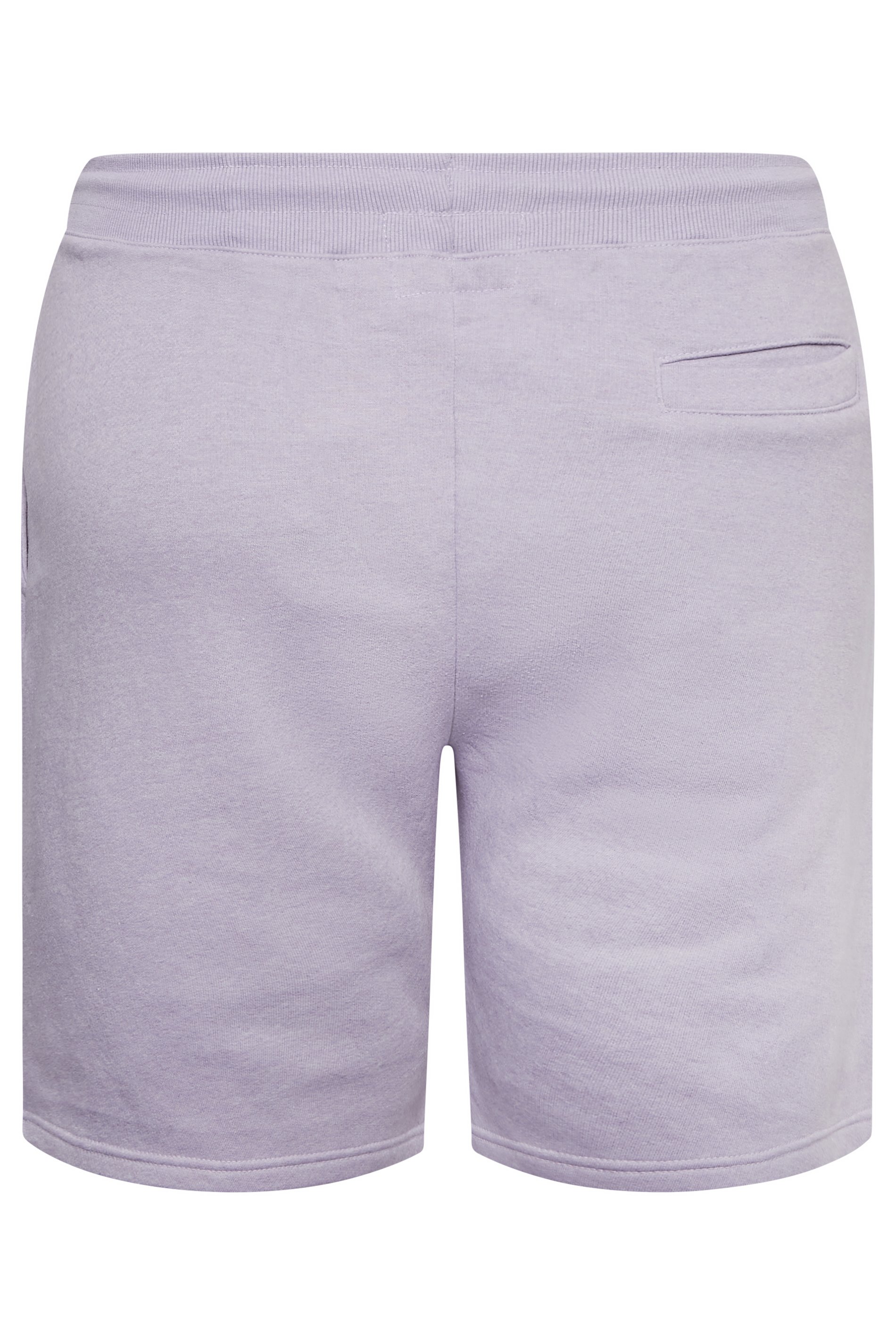 BadRhino Big & Tall Plus Size Lilac Purple Jogger Shorts | BadRhino