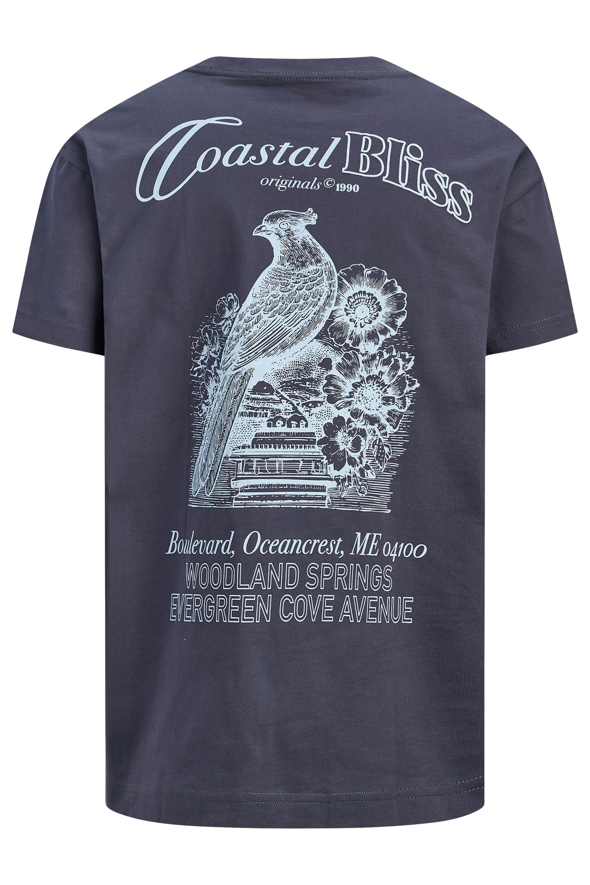 JACK & JONES Big & Tall Grey Crew Neck Back Graphic Tee | BadRhino 5