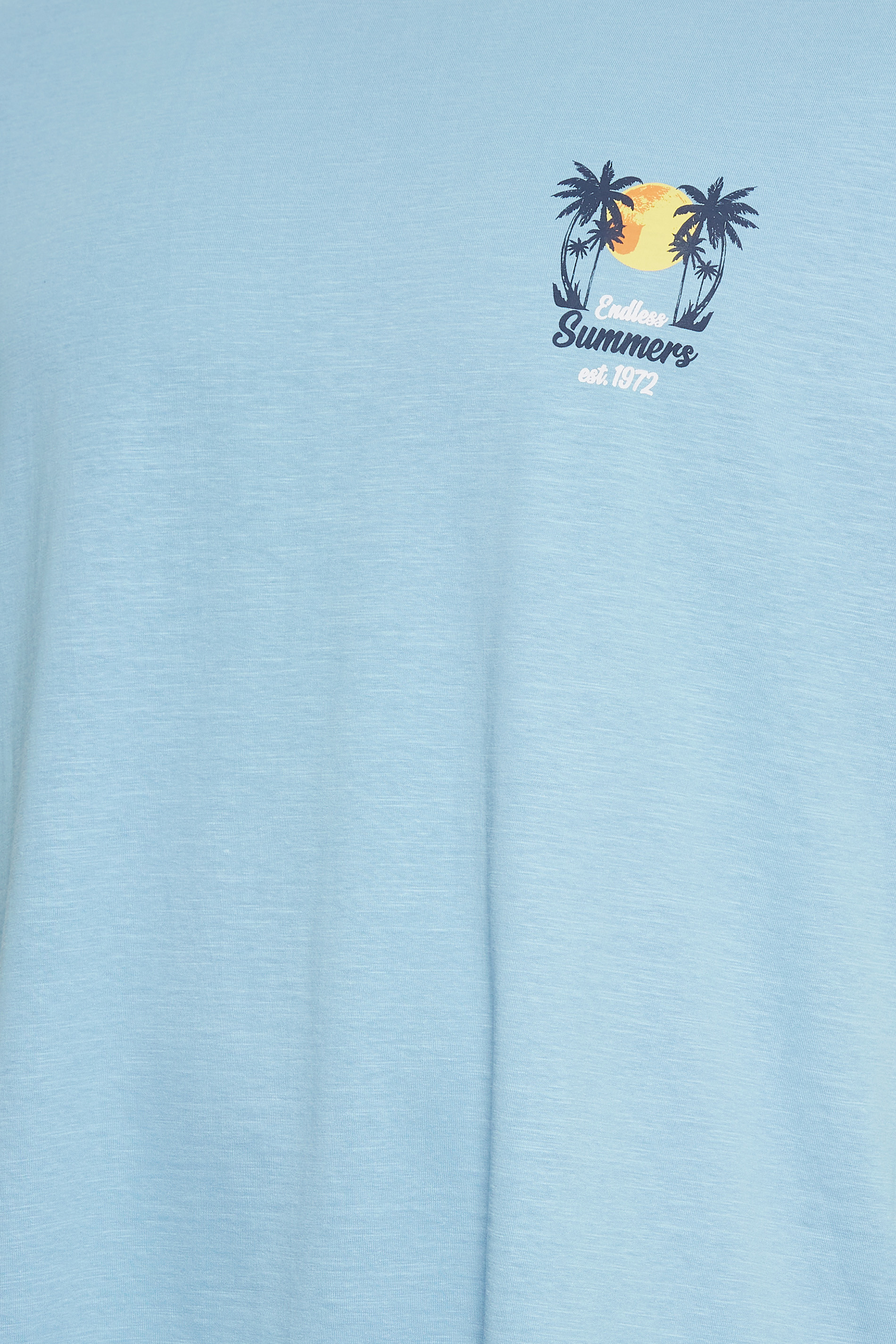 KAM Big & Tall Light Blue 'Endless Summers' Print T-Shirt | BadRhino 3
