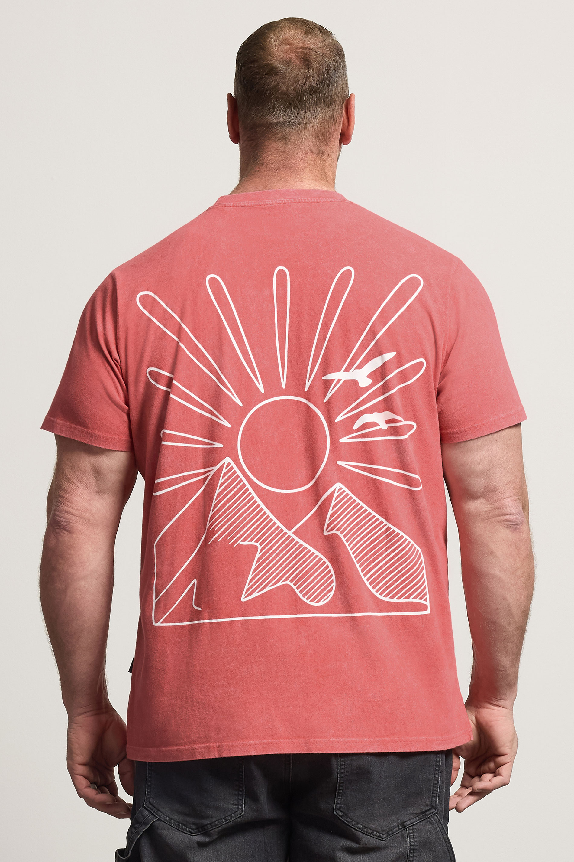 BadRhino Big & Tall Orange Mountain Graphic T-Shirt | BadRhino  2