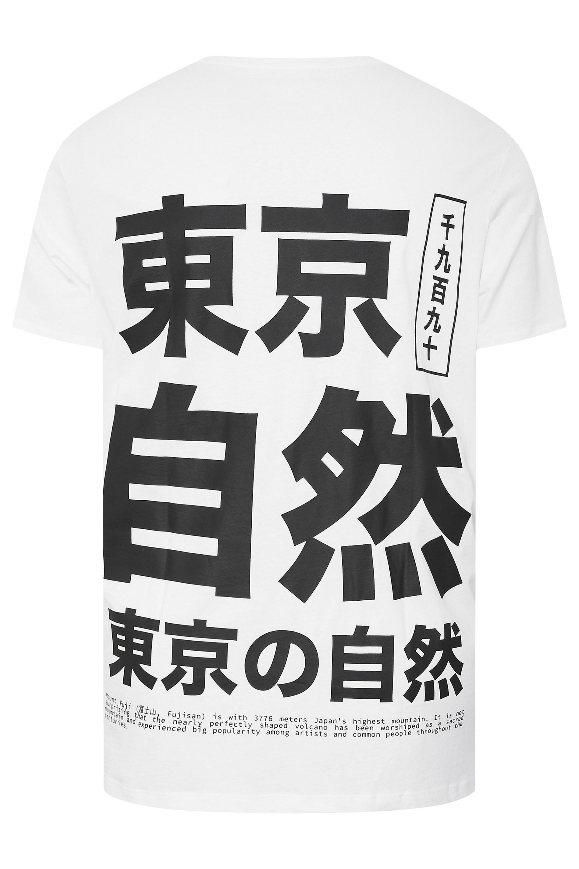 JACK & JONES Big & Tall 2 PACK Navy Blue & White Crew Neck T-Shirts | BadRhino 9