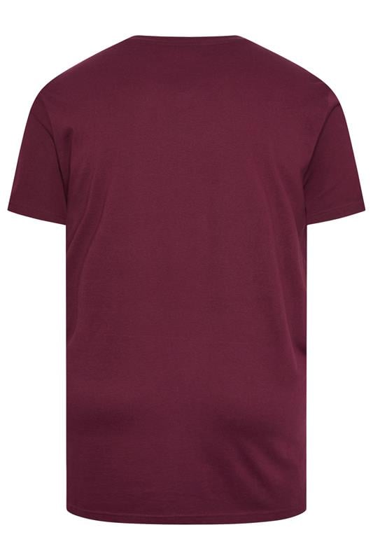 BadRhino Big & Tall Black/Red/Green/Blue/Navy Blue 5 Pack V-Neck T-Shirts | BadRhino 3