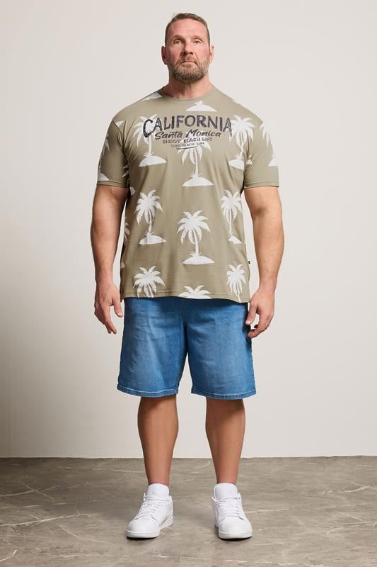 KAM Big & Tall Stone Brown Palm Print T-Shirt | BadRhino 1