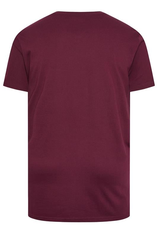 BadRhino Big & Tall Black/Red/Green/Blue/Navy Blue 5 Pack Extra Long V-Neck T-Shirts | BadRhino 3