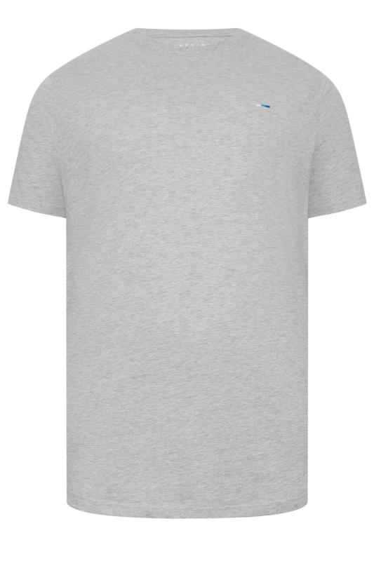 BadRhino Big & Tall Light Grey Extra Long Core T-Shirt | BadRhino 3