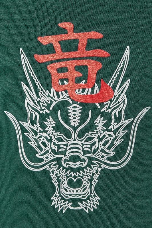 BadRhino Big & Tall Green Dragon Graphic Joggers | BadRhino 3