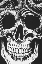 BadRhino Big & Tall Black Skull & Snake Print Graphic T-Shirt 7