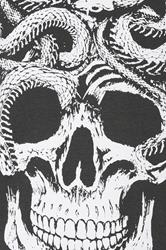 BadRhino Big & Tall Ebony Grey Skull & Snake Graphic Sweatshirt | BadRhino 3