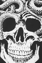 BadRhino Big & Tall Black Skull & Snake Graphic T-Shirt | BadRhino 3