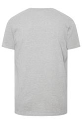 BadRhino Big & Tall Grey Distressed Graphic T-Shirt | BadRhino 3