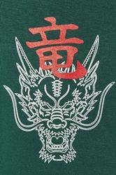 BadRhino Big & Tall Green Dragon Graphic Joggers | BadRhino 3