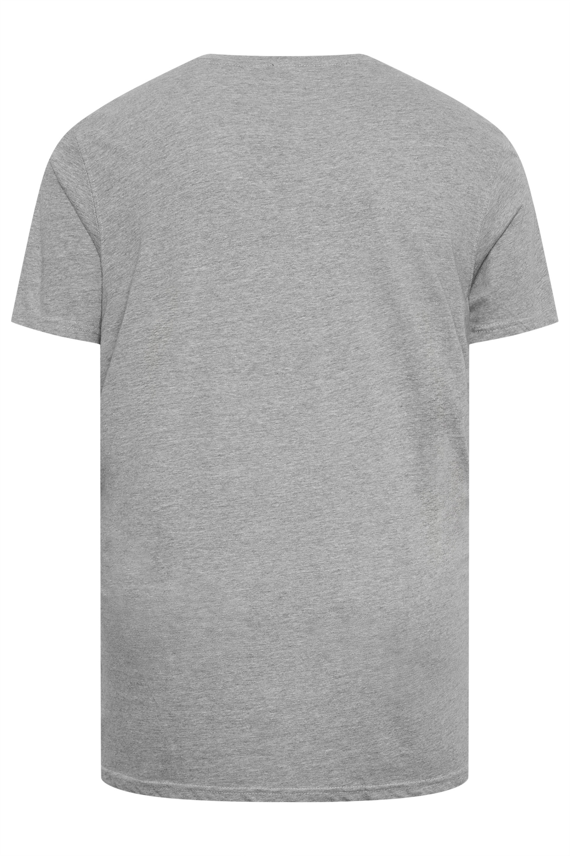 D555 Big & Tall Grey Premium V-Neck Combed Cotton T-Shirt | D555 2