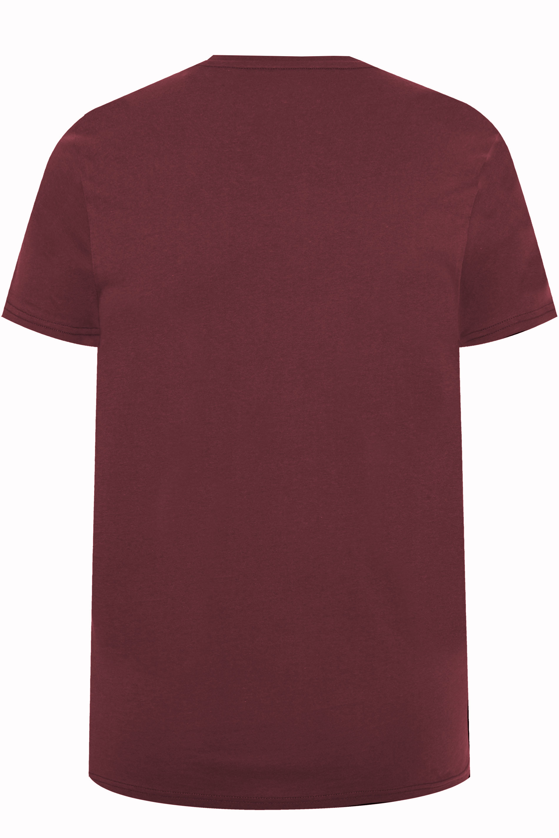 ALPHA INDUSTRIES Burgundy Red 2 Pack Logo T-Shirts | BadRhino