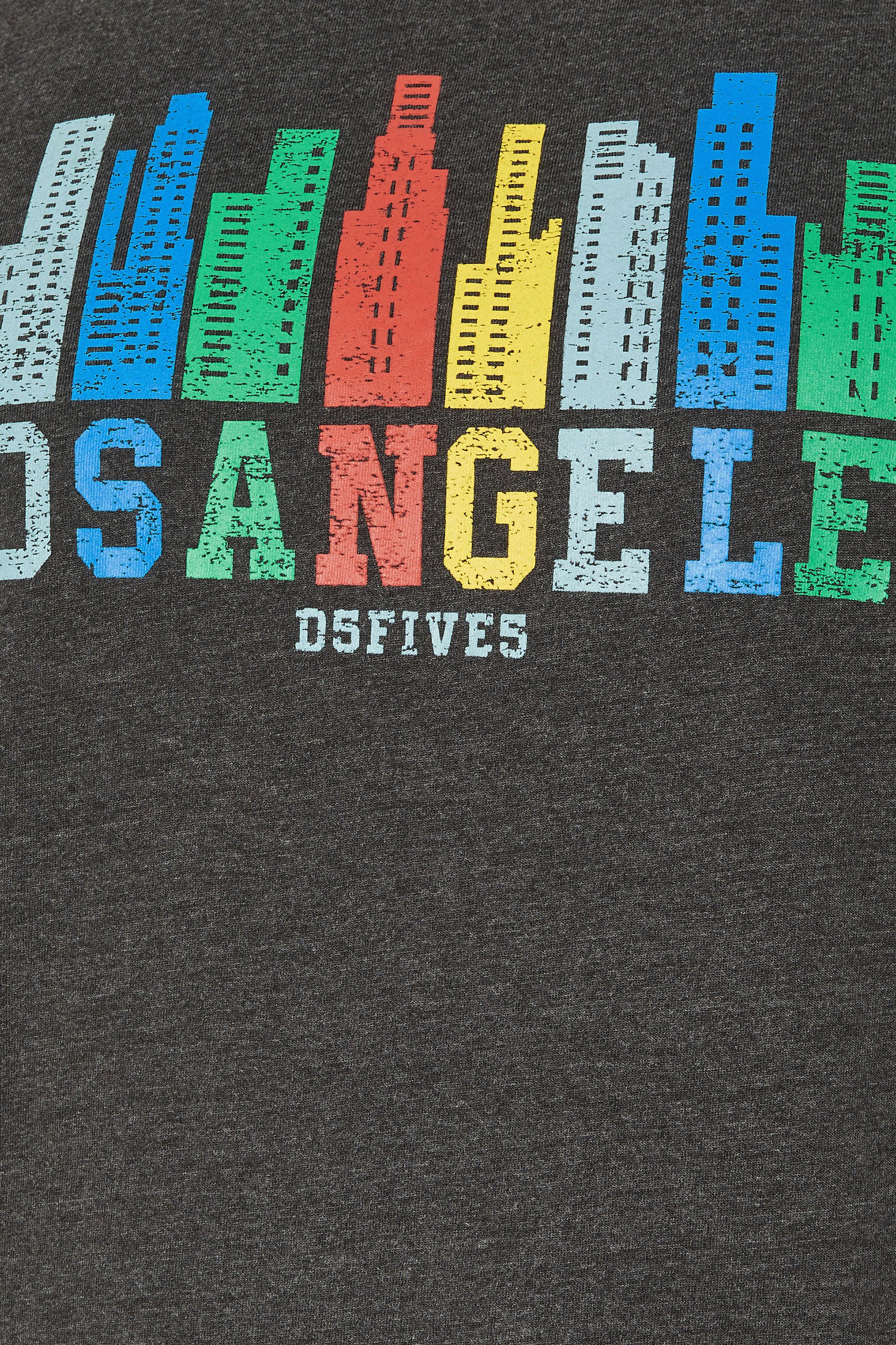 D555  Big & Tall Charcoal Grey 'Los Angeles' T-Shirt | BadRhino 3