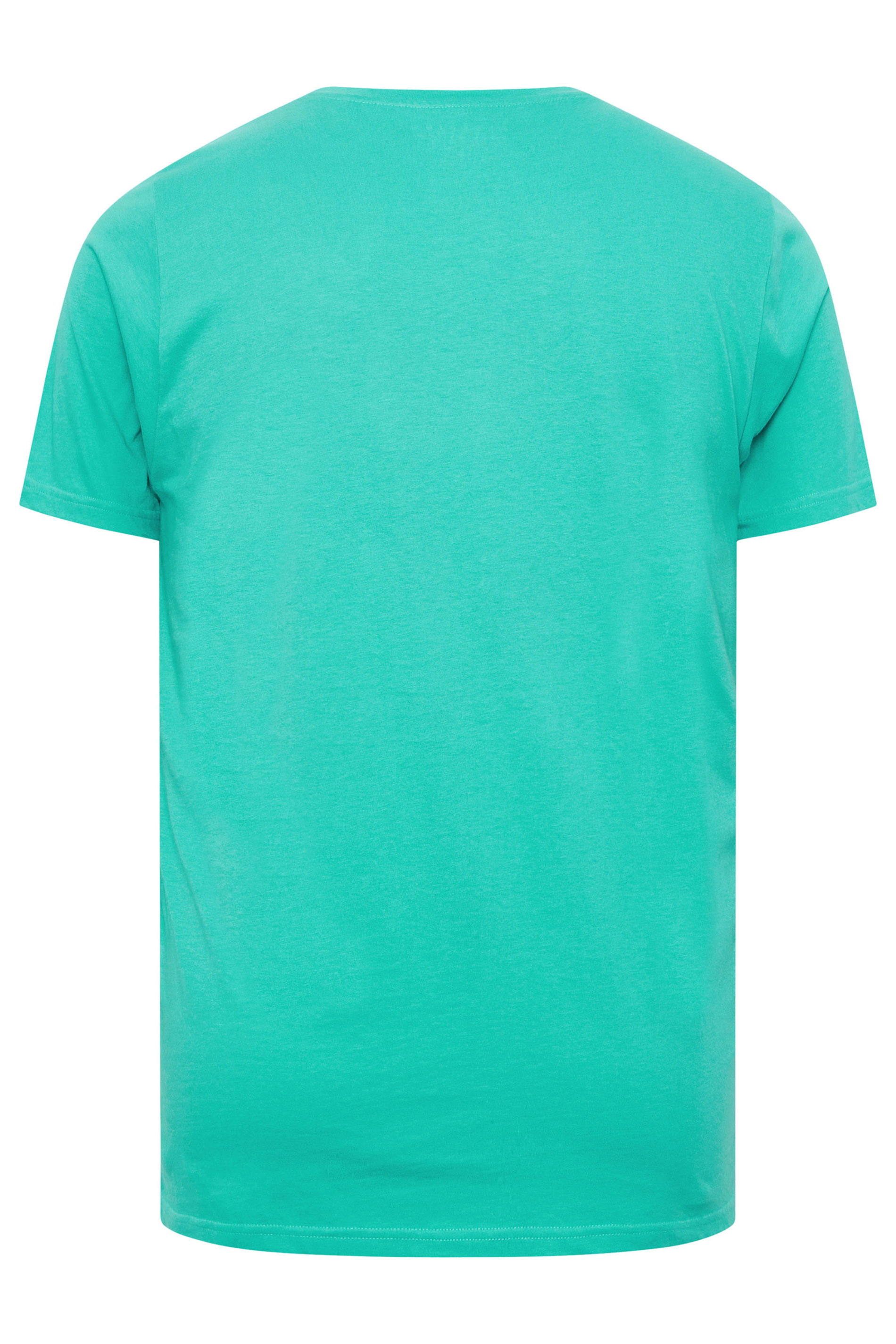 BadRhino Big & Tall Teal Green Core T-shirt | BadRhino 8