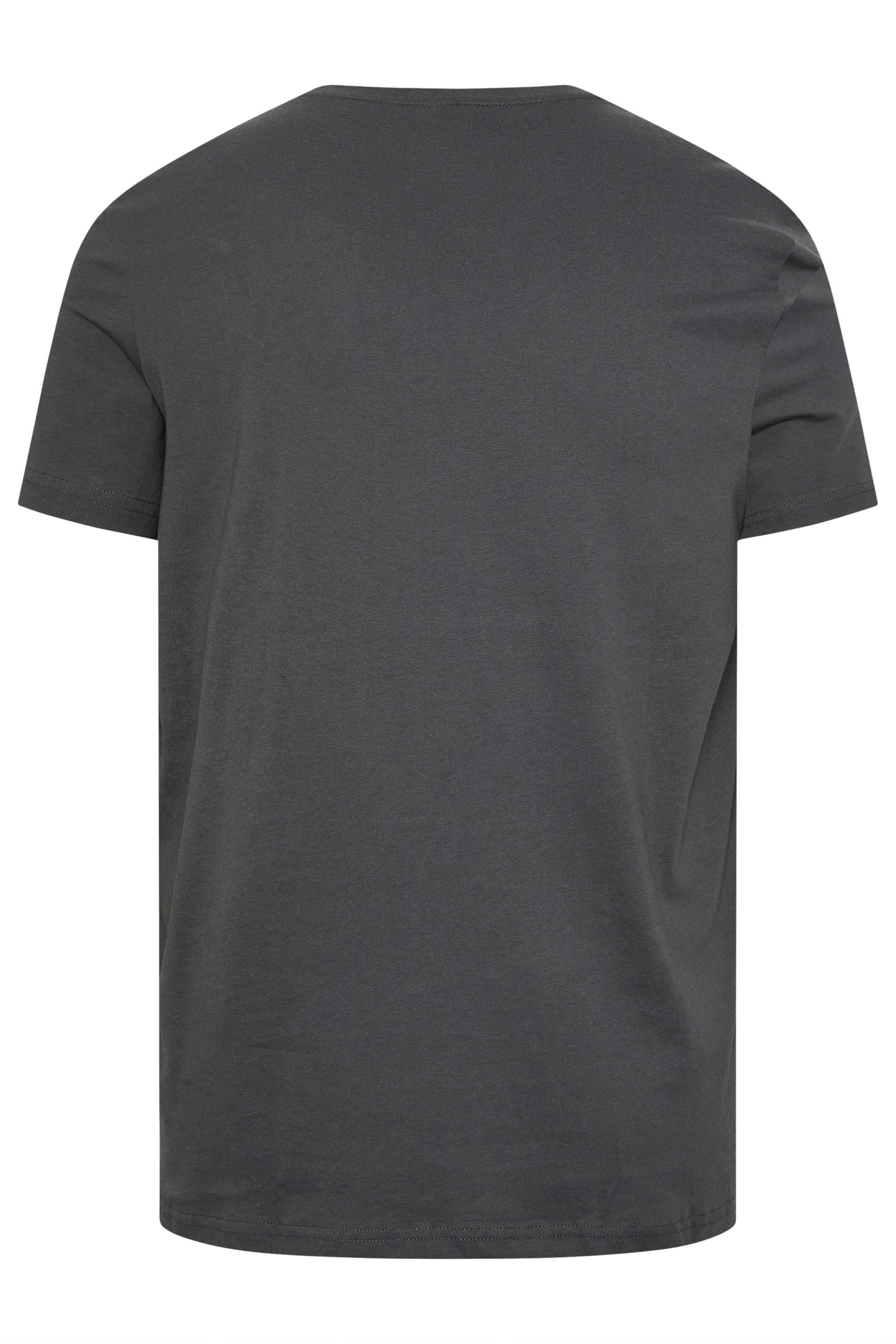 LYLE & SCOTT Big & Tall Grey Core T-Shirt | BadRhino 5