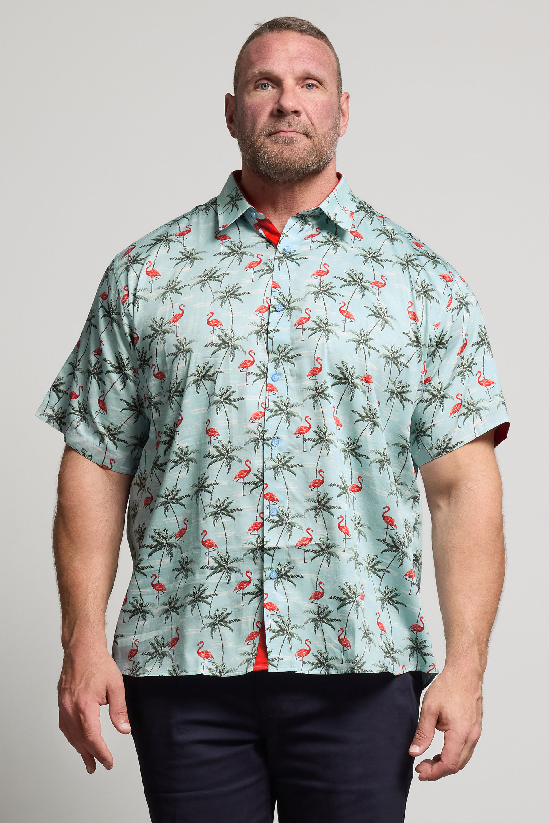 KAM Big & Tall Light Blue Bird Print Shirt | BadRhino 1